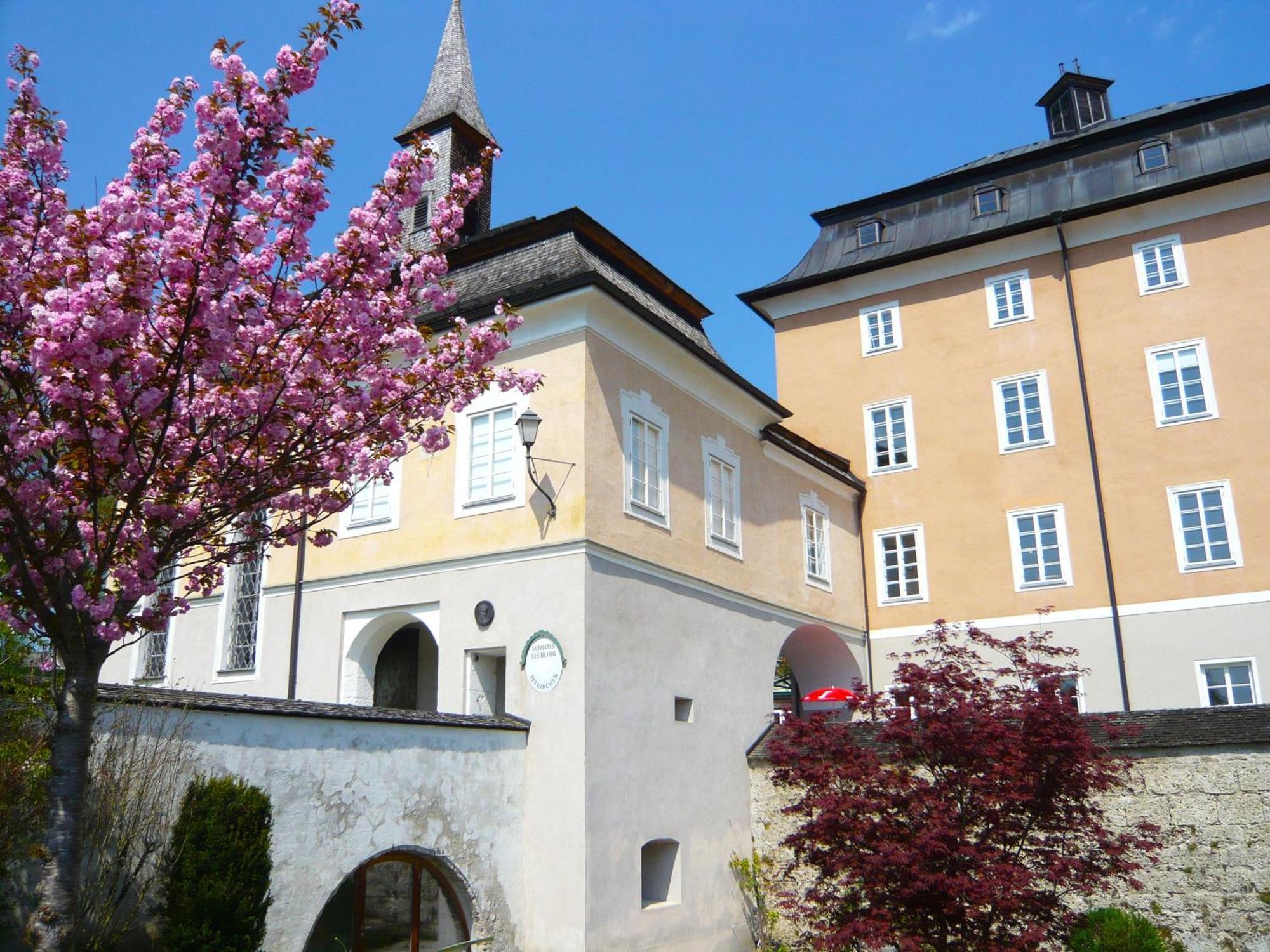 Haus Am Weinberg Apartment Seekirchen am Wallersee Exterior foto